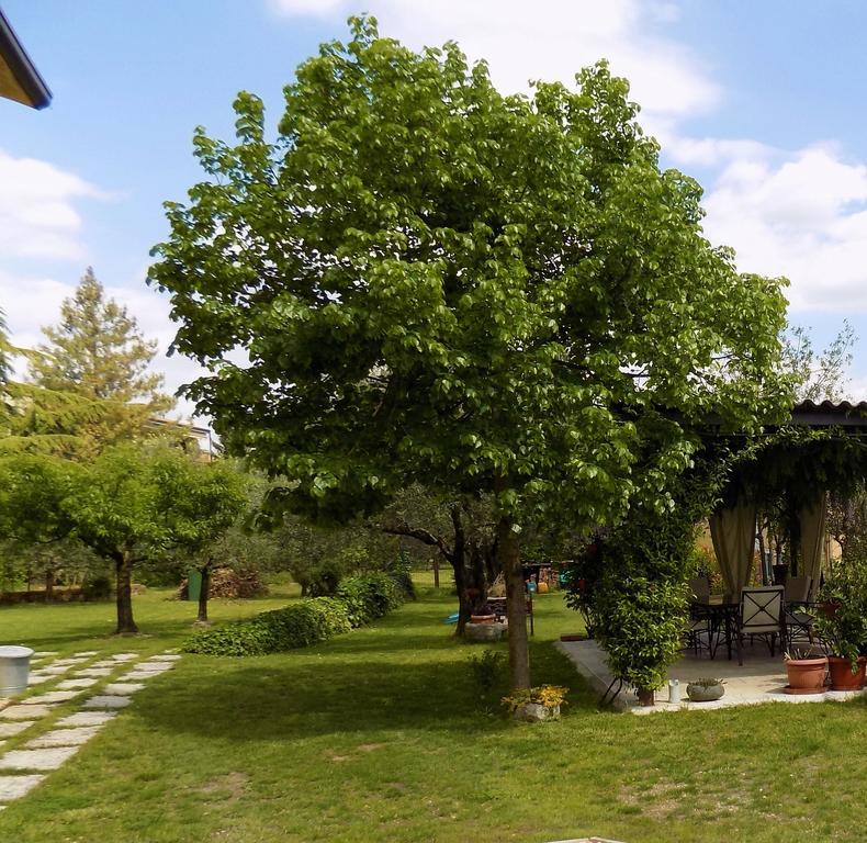 Due Archi Bed & Breakfast Sant'Ambrogio di Valpolicella Bagian luar foto