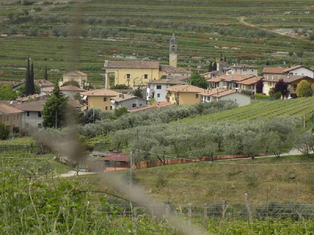 Due Archi Bed & Breakfast Sant'Ambrogio di Valpolicella Bagian luar foto