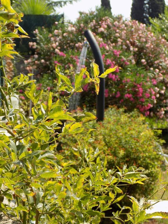 Due Archi Bed & Breakfast Sant'Ambrogio di Valpolicella Bagian luar foto